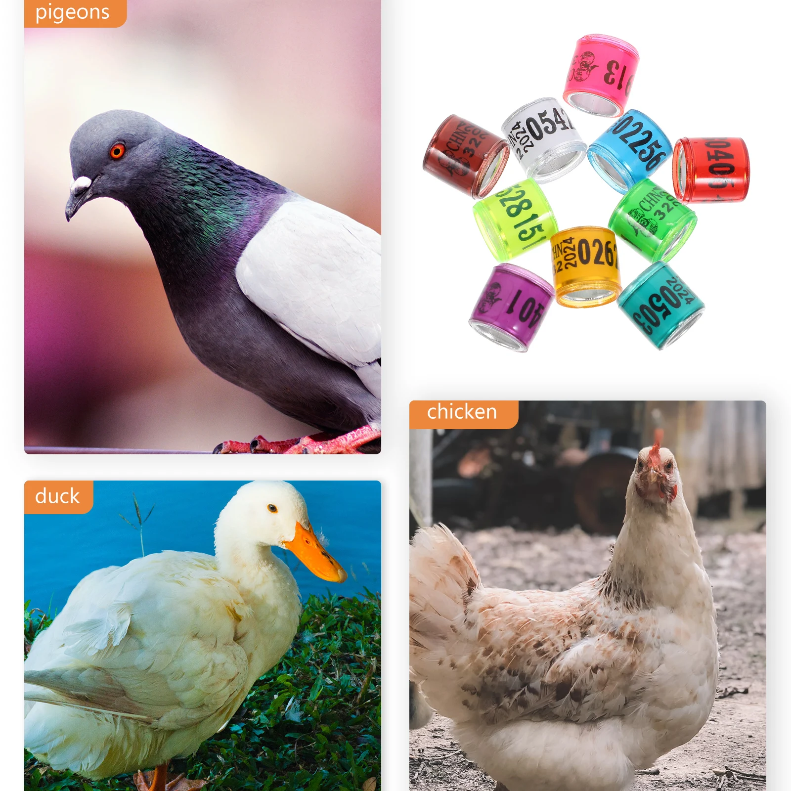 100pcs Pigeon Leg Bird Foot Rings Adjustable Aluminum for Homing Pigeons Chicken Marker Easy Identify Pet Supplies
100pcs Pigeon Leg Bird Foot Rings Adjustable Aluminum for Homing Pigeons Chicken Marker Easy Identify Pet Supplies