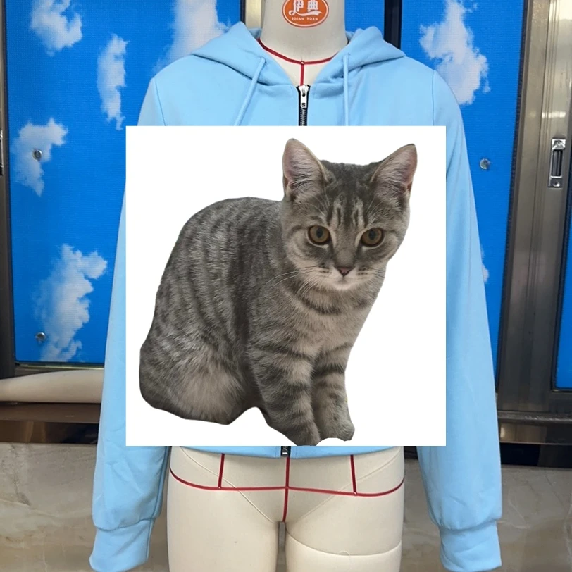 Fashion Patchwork Coat Women’s Hooded Jacket Zip Up Sweatshirt Coat with Colorful Horizontal Stripes for Layering Everyday Wear
Fashion Patchwork Coat Women’s Hooded Jacket Zip Up Sweatshirt Coat with Colorful Horizontal Stripes for Layering Everyday Wear