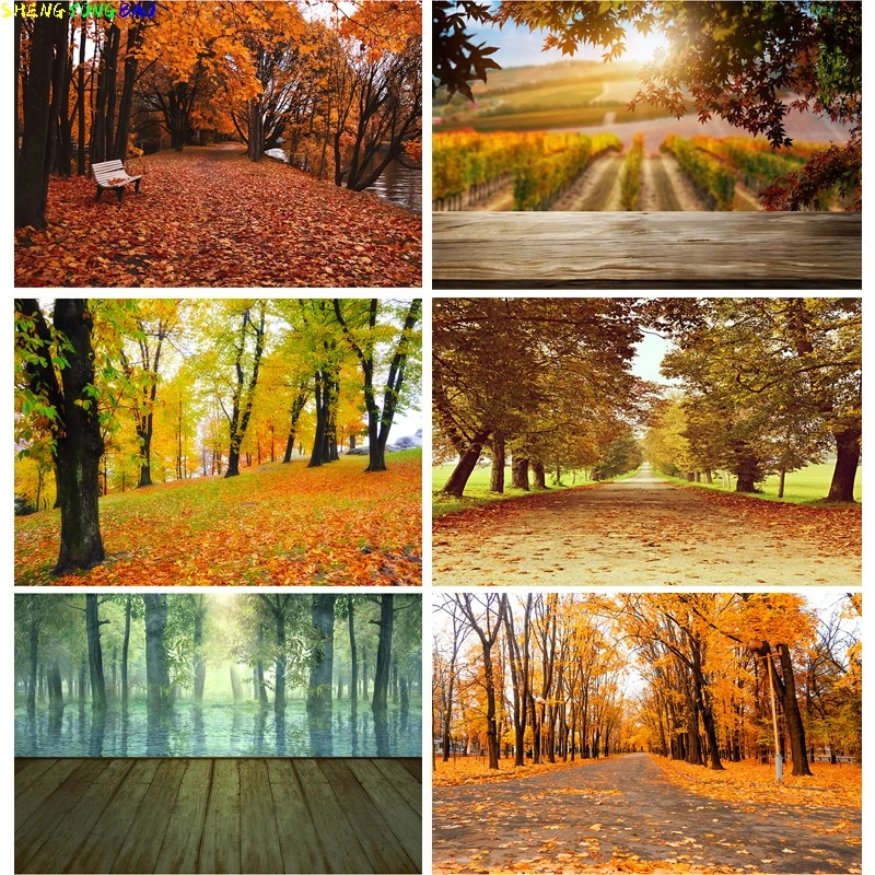 Green Forest Nature Scenery Photography Background Landscape Portrait Photo Backdrops Studio Props KKL-04
Green Forest Nature Scenery Photography Background Landscape Portrait Photo Backdrops Studio Props KKL-04