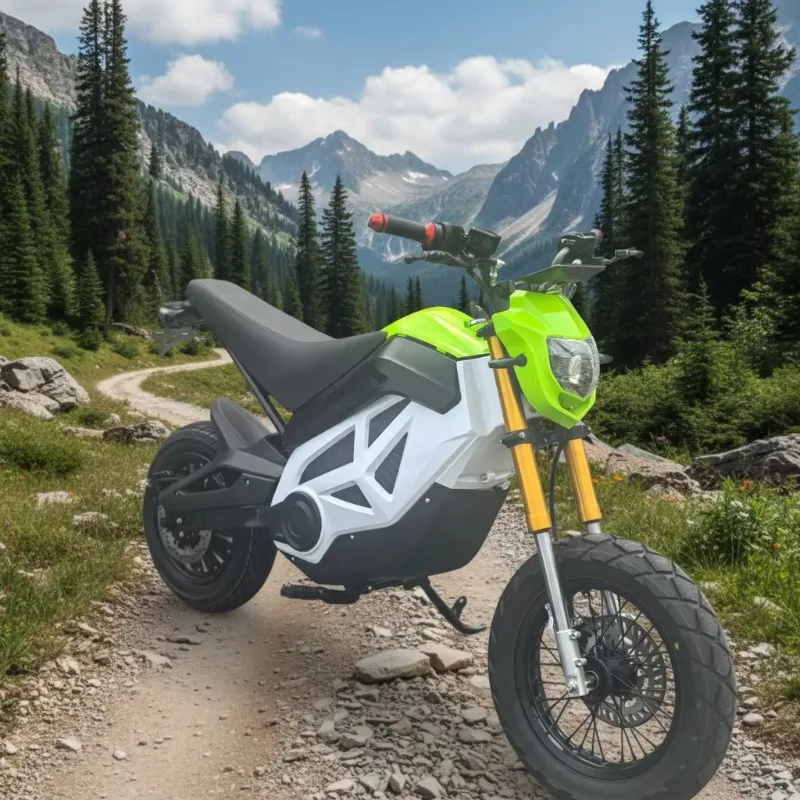 Krono Wild City Scooter Electric Motorcycle High Power 80km/h Two Wheel E Scooter With Hub Motor
Krono Wild City Scooter Electric Motorcycle High Power 80km/h Two Wheel E Scooter With Hub Motor