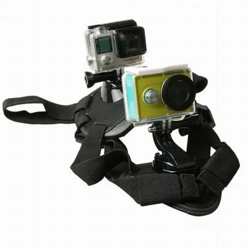 Сундук для собак фиксированные плечевые ремни для экшн-камеры GOPRO Hero10/9/8/7
Сундук для собак фиксированные плечевые ремни для экшн-камеры GOPRO Hero10/9/8/7