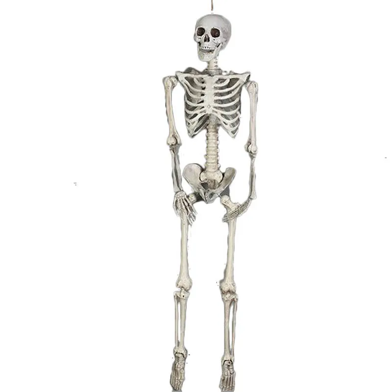 185cm New Halloween Prop Life Size Human Skull Skeleton Haunted House Decoration
185cm New Halloween Prop Life Size Human Skull Skeleton Haunted House Decoration