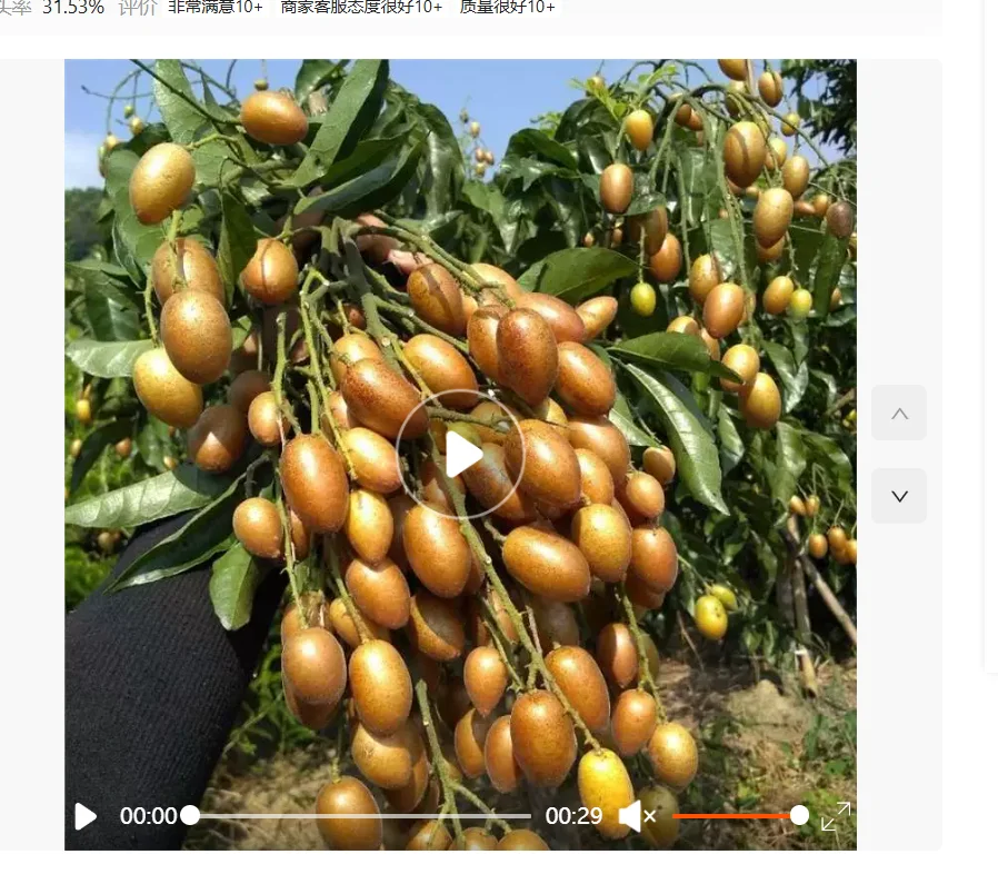 Чехол для переноски ROGXbox Ally X с защитными пленками из закаленного стекла, колпачки для джойстиков, доступ к портативной игровой консоли
Чехол для переноски ROGXbox Ally X с защитными пленками из закаленного стекла, колпачки для джойстиков, доступ к портативной игровой консоли