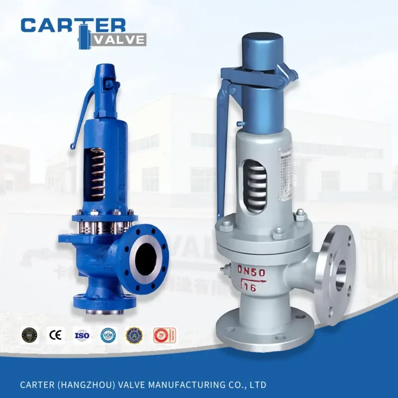 Safety Valve Pilot Operated Micro Opening Cast Steel SS316 NPT Thread ANSI High Pressure Liquid Resistant OEM
Safety Valve Pilot Operated Micro Opening Cast Steel SS316 NPT Thread ANSI High Pressure Liquid Resistant OEM