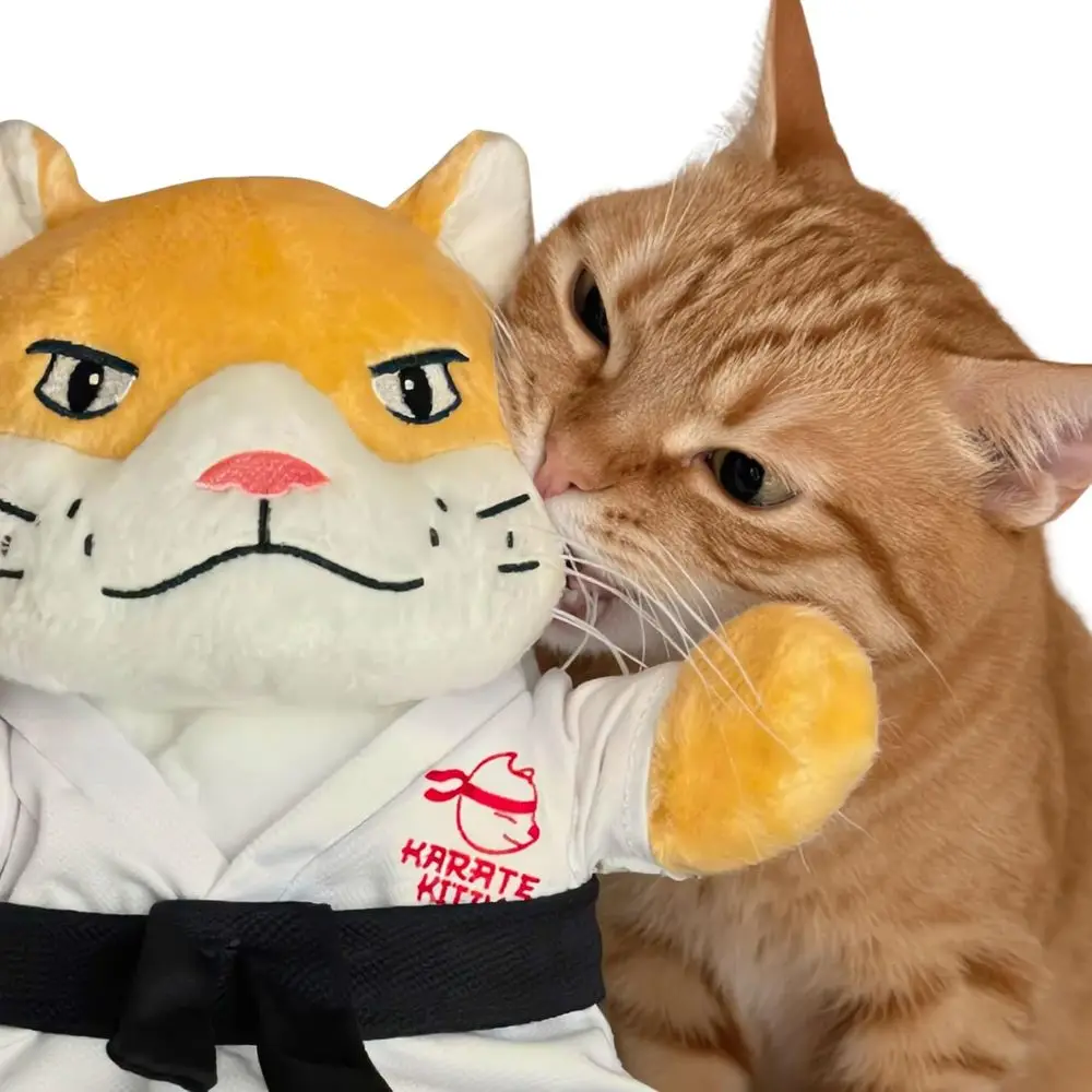 Interactive Wrestling Glove & Puppet for Cats with Arm Sleeve, Catnip & Crinkle Ears
Interactive Wrestling Glove & Puppet for Cats with Arm Sleeve, Catnip & Crinkle Ears