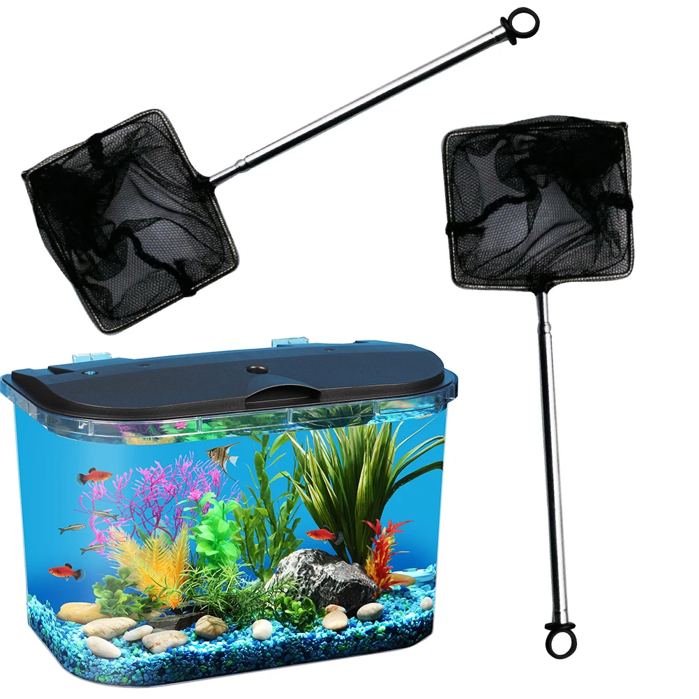 Nylon Stainless Steel Telescopic Fishing Net for Aquarium Deep Pliable Design Catch Shrimp Fish Tank Cleaning Color
Nylon Stainless Steel Telescopic Fishing Net for Aquarium Deep Pliable Design Catch Shrimp Fish Tank Cleaning Color