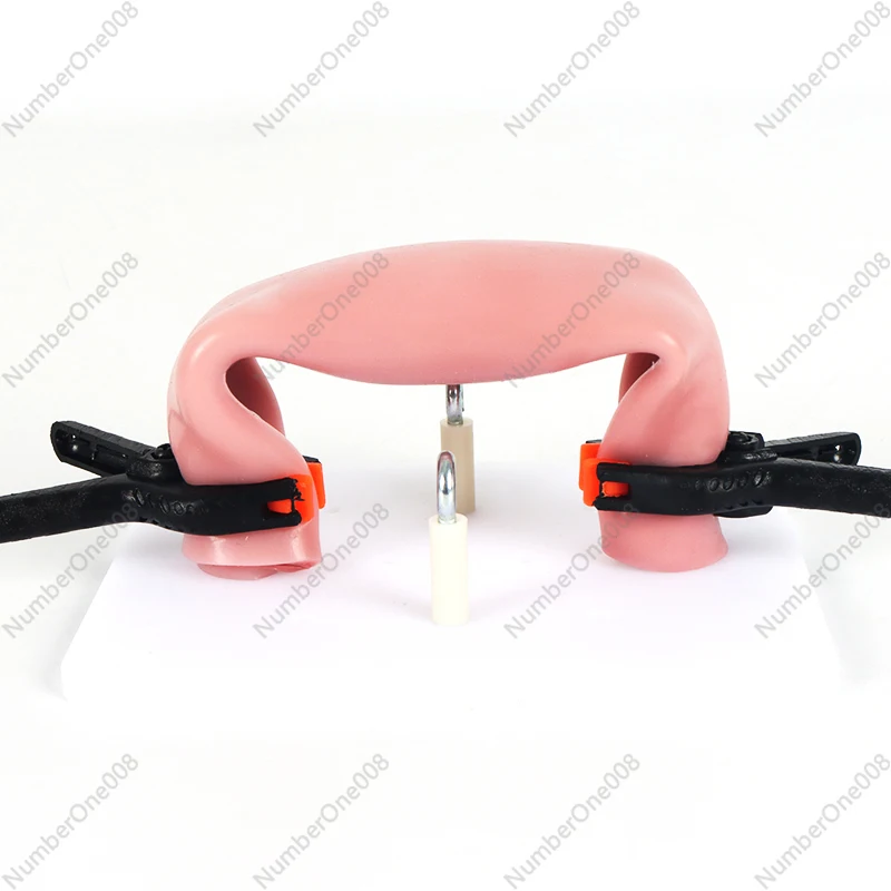 Practice equipment for intestinal suture model and stent clip Laparoscopy anastomosis training module
Practice equipment for intestinal suture model and stent clip Laparoscopy anastomosis training module
