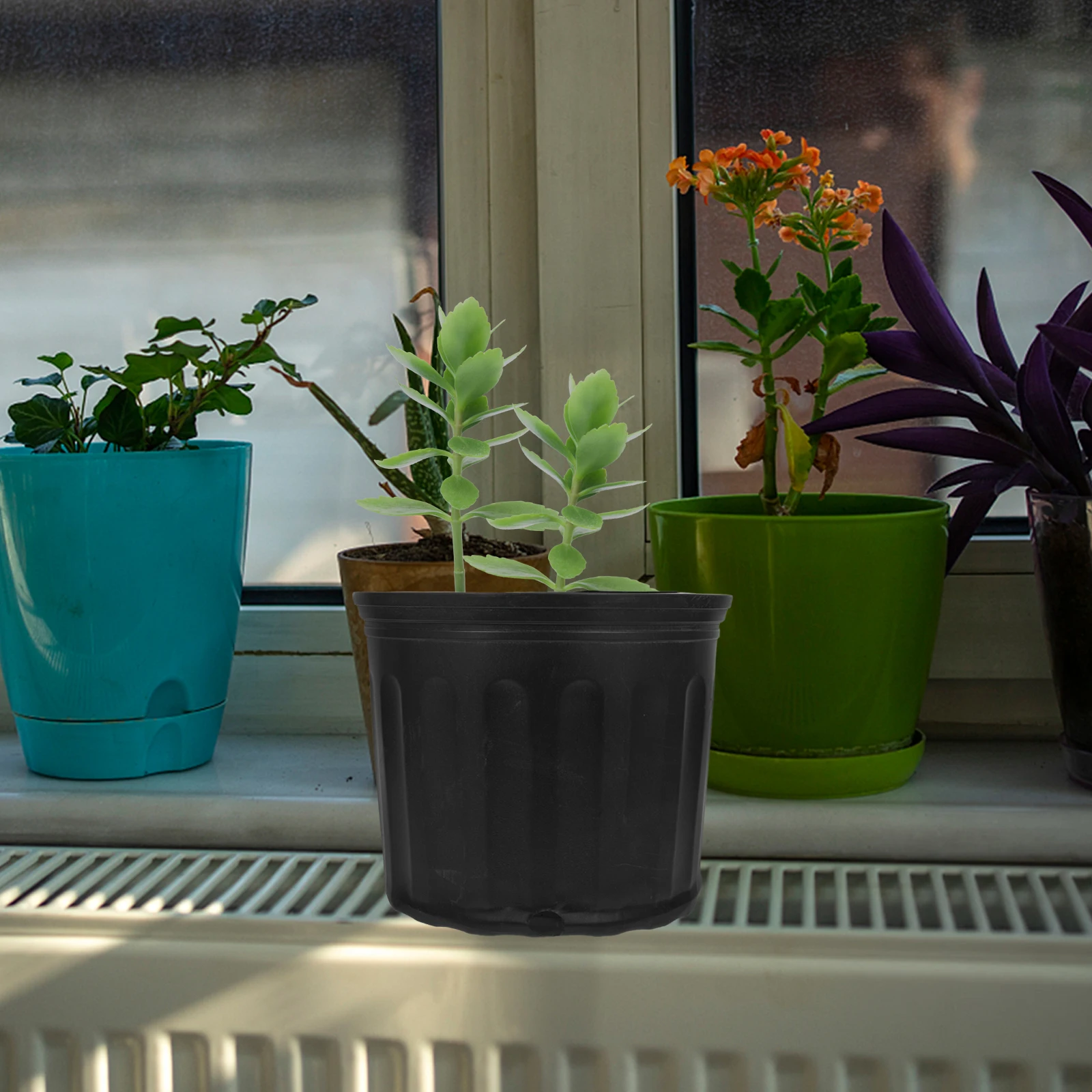 5 Pcs Root Control Flower Pots Plastic Plant Containers Gardening Accessories for Indoor Balcony Garden Yard
5 Pcs Root Control Flower Pots Plastic Plant Containers Gardening Accessories for Indoor Balcony Garden Yard