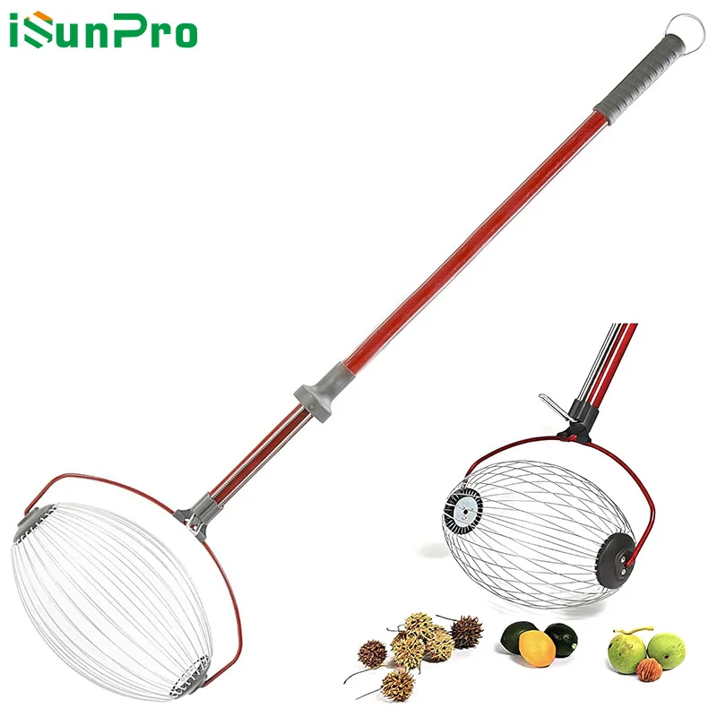 Suitable forAmazon Hot Sale Nut Collector Multifunctional Fruit Picker New Garden Tool Picker Garden Ball Picker
Suitable forAmazon Hot Sale Nut Collector Multifunctional Fruit Picker New Garden Tool Picker Garden Ball Picker