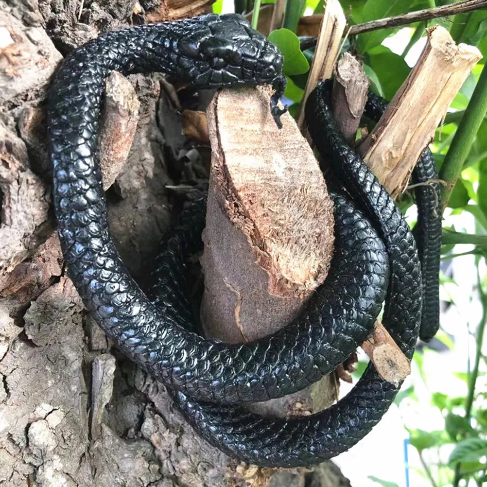 2Pcs Lifelike Black Snake Simulation Flexible Prank Props Halloween Decorations Creative Educational Fun Desktop Adornments
2Pcs Lifelike Black Snake Simulation Flexible Prank Props Halloween Decorations Creative Educational Fun Desktop Adornments
