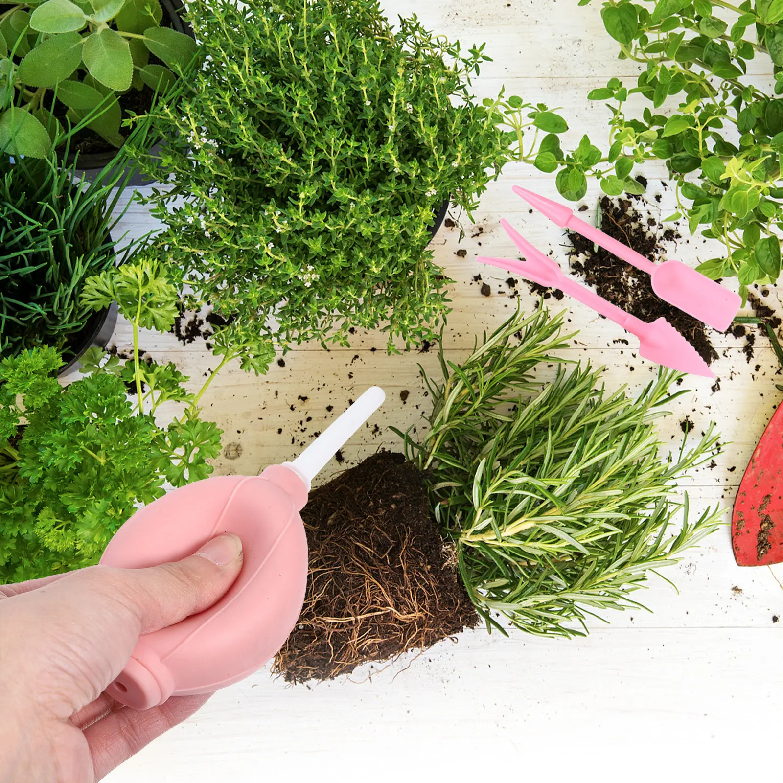 1Set Garden Tools Set Mini Succulent Transplanting Soil Loosening Shovels Ergonomic Portable Gardening Hand Tools Gift Set
1Set Garden Tools Set Mini Succulent Transplanting Soil Loosening Shovels Ergonomic Portable Gardening Hand Tools Gift Set