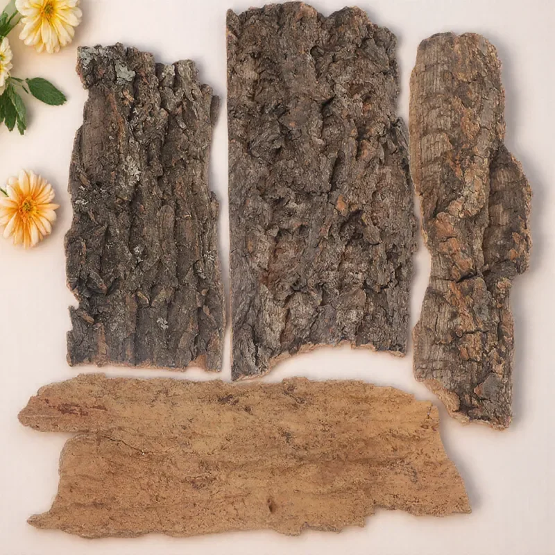 4pcs Climbing Platform Decor Reptile Hide Tank Accessories Natural Bark Sturdy Safe Material Terrarium Pet Supplies Light Brown
4pcs Climbing Platform Decor Reptile Hide Tank Accessories Natural Bark Sturdy Safe Material Terrarium Pet Supplies Light Brown