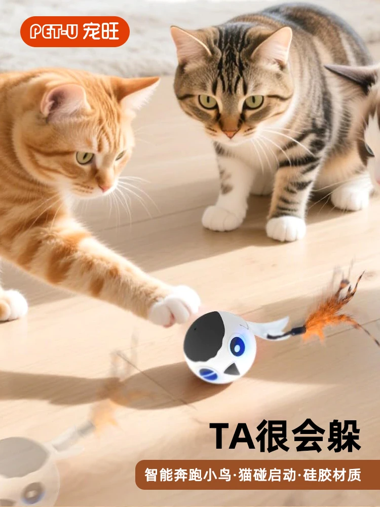 Pet cat's automatic wave paddle consumes energy
Pet cat's automatic wave paddle consumes energy