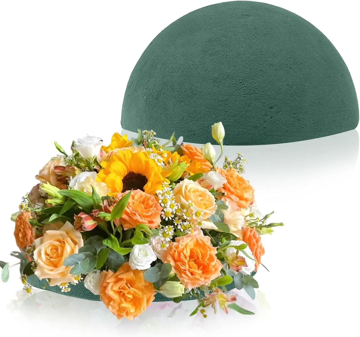 2 Pack Floral Foam Half Balls 7.5"x3.7" Green Wet & Dry for Flower Arrangements
2 Pack Floral Foam Half Balls 7.5"x3.7" Green Wet & Dry for Flower Arrangements