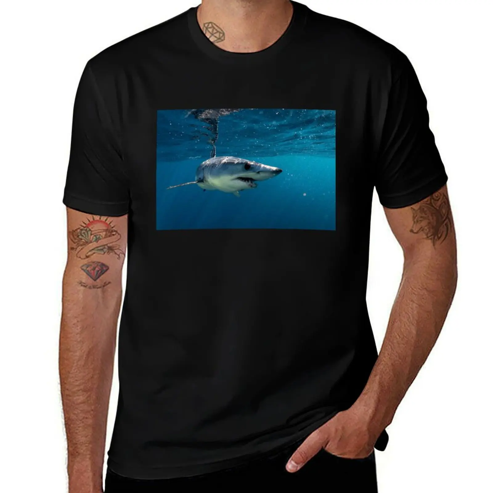 Mako Shark, zippin' around Cabo T-Shirt football t shirt customizeds fashion shirts men t shirts high quality
Mako Shark, zippin' around Cabo T-Shirt football t shirt customizeds fashion shirts men t shirts high quality