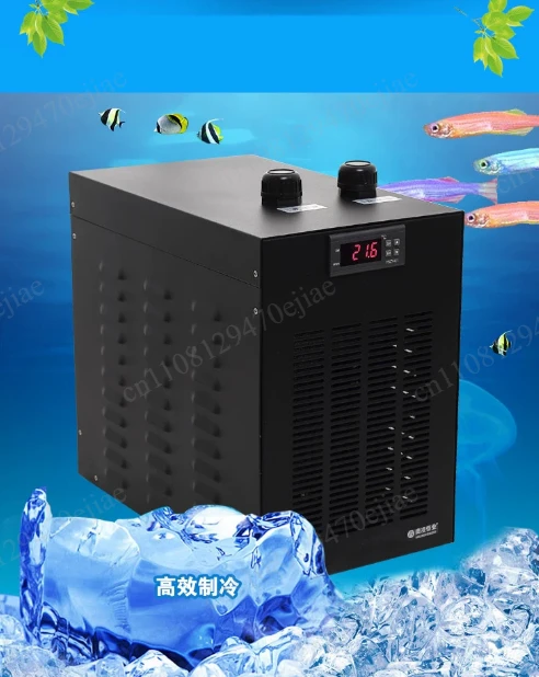 Aquarium Water Chiller 1/3 HP Temperature Controller for 300L Fish Tank, Reef Coral Shrimp Jellyfish Planted Tank Water Cooler
Aquarium Water Chiller 1/3 HP Temperature Controller for 300L Fish Tank, Reef Coral Shrimp Jellyfish Planted Tank Water Cooler