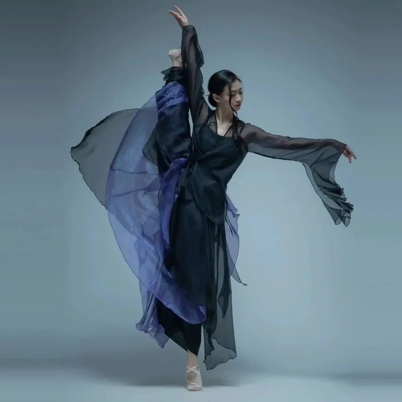 Classical Dance Costume For Women, Flowing Gauze Dress, Chinese Style Practice Outfit, Female Body Rhythm Gauze Dress, Martial
Classical Dance Costume For Women, Flowing Gauze Dress, Chinese Style Practice Outfit, Female Body Rhythm Gauze Dress, Martial