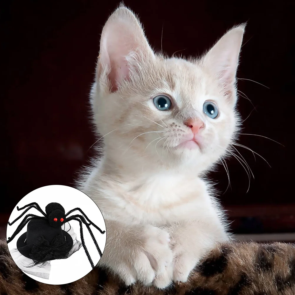 2Pcs Pet Halloween Hat Soft Comfortable Adjustable Spider Pattern Hat for Dogs Cats Perfect Costume Party Costume Dog
2Pcs Pet Halloween Hat Soft Comfortable Adjustable Spider Pattern Hat for Dogs Cats Perfect Costume Party Costume Dog