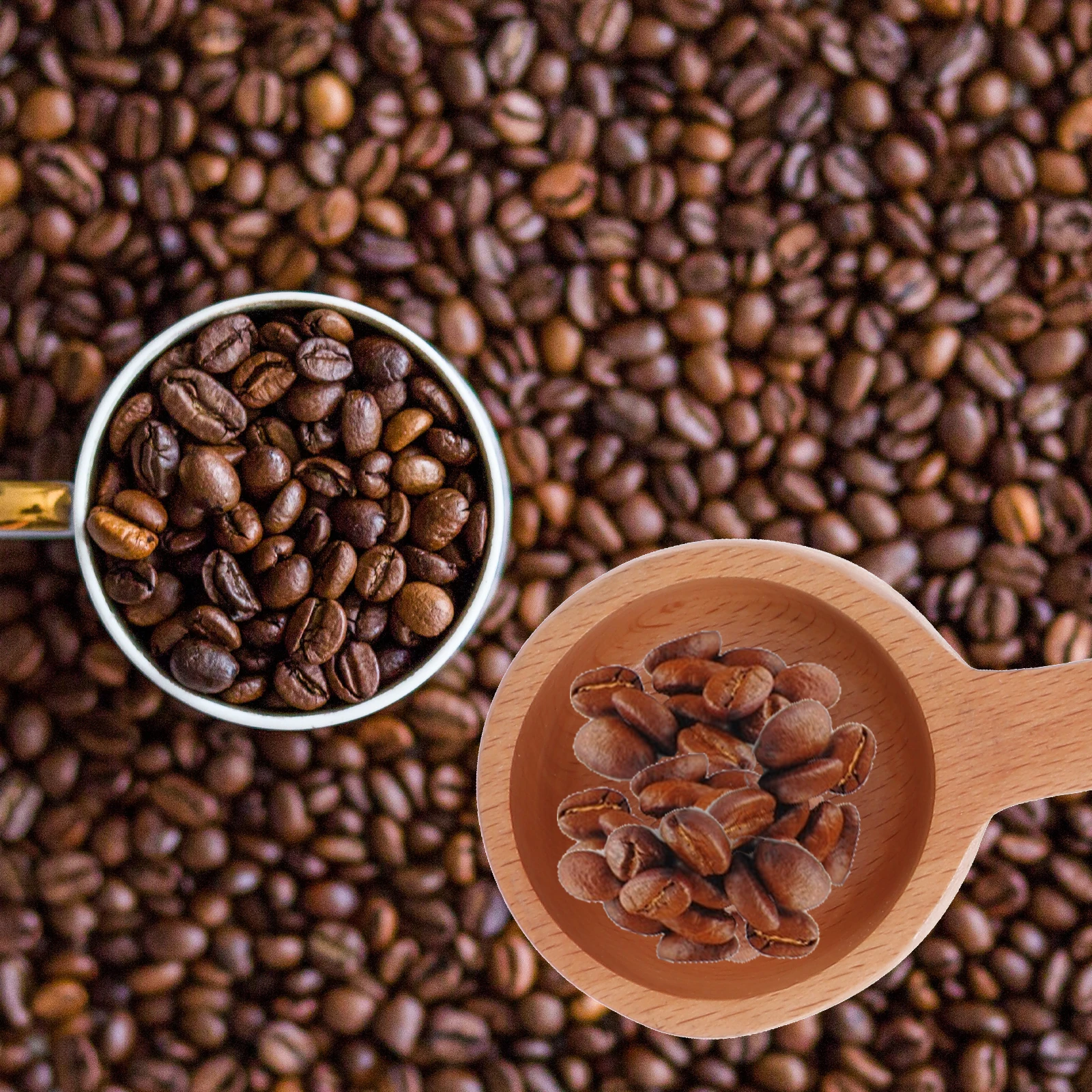 s Coffee Bean Scoop Simple Wooden Spoon for Powder Measuring Tool Household Use Eco friendly BeechWood Material Fine Details
s Coffee Bean Scoop Simple Wooden Spoon for Powder Measuring Tool Household Use Eco friendly BeechWood Material Fine Details