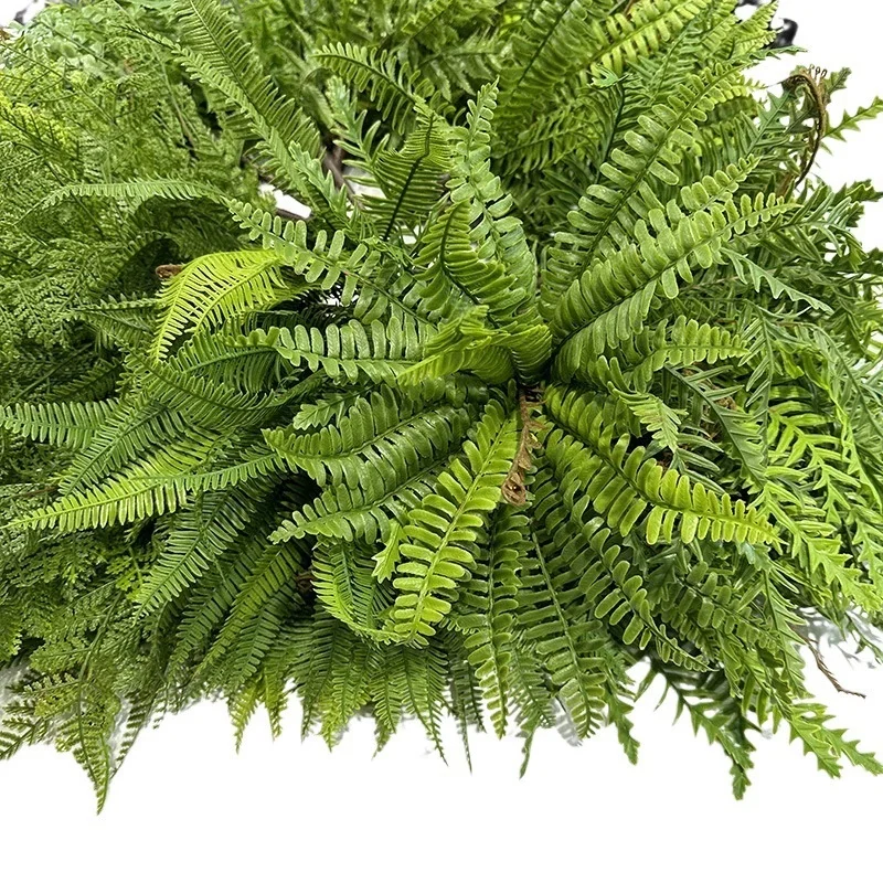 Artificial Fern Leaf Persian Grass Plant Wall Accessories Greening Material Landscaping Home Garden Decoration Office
Artificial Fern Leaf Persian Grass Plant Wall Accessories Greening Material Landscaping Home Garden Decoration Office