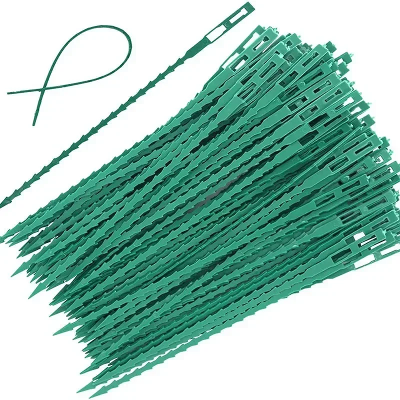 Reusable Garden Cable Ties Plant Vine Tree Shrubs Support Fastener Locking Nylon Adjustable Zipper Cables Ties Organizer Tools
Reusable Garden Cable Ties Plant Vine Tree Shrubs Support Fastener Locking Nylon Adjustable Zipper Cables Ties Organizer Tools