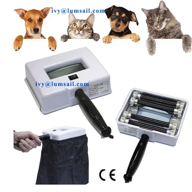 2025/Animal wood's lamp veterinary wood lamp
2025/Animal wood's lamp veterinary wood lamp