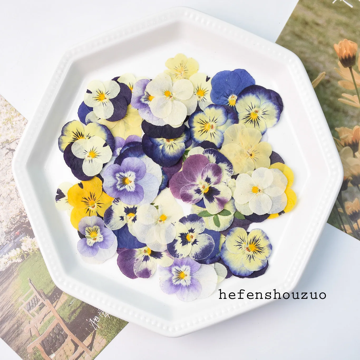 84Pcs Three-Color Pansy, Fragrant Pansy, and Horn Pansy Dried Flowers for DIY Plant Specimens, Photo Frames, Bookmarks, Resin Phone Cases, and Dried Flower Materials
84Pcs Three-Color Pansy, Fragrant Pansy, and Horn Pansy Dried Flowers for DIY Plant Specimens, Photo Frames, Bookmarks, Resin Phone Cases, and Dried Flower Materials