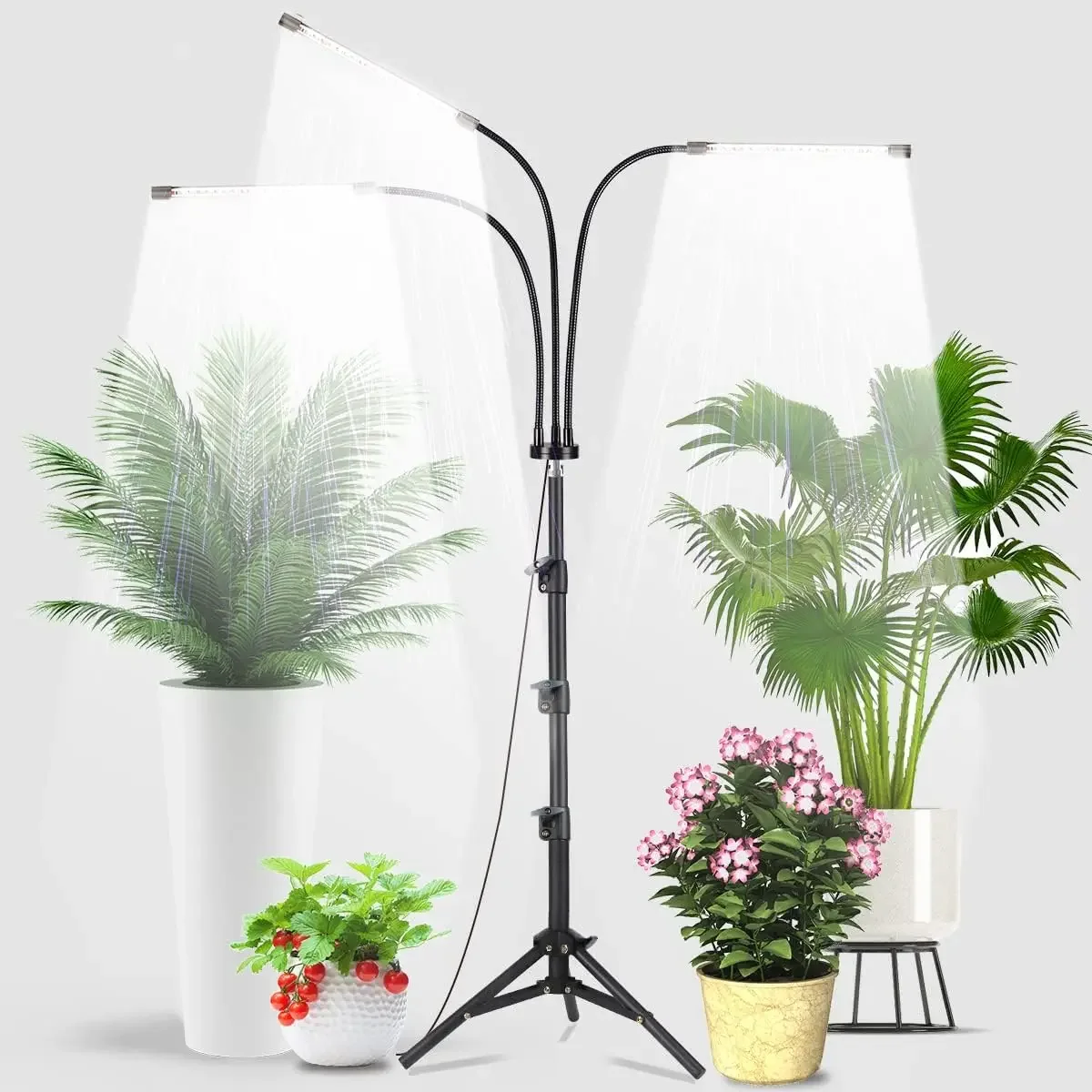 Adjustable Tripod Grow Light With Timer, 60 LED Full Spectrum Floor Lamp For Indoor Plants
Adjustable Tripod Grow Light With Timer, 60 LED Full Spectrum Floor Lamp For Indoor Plants