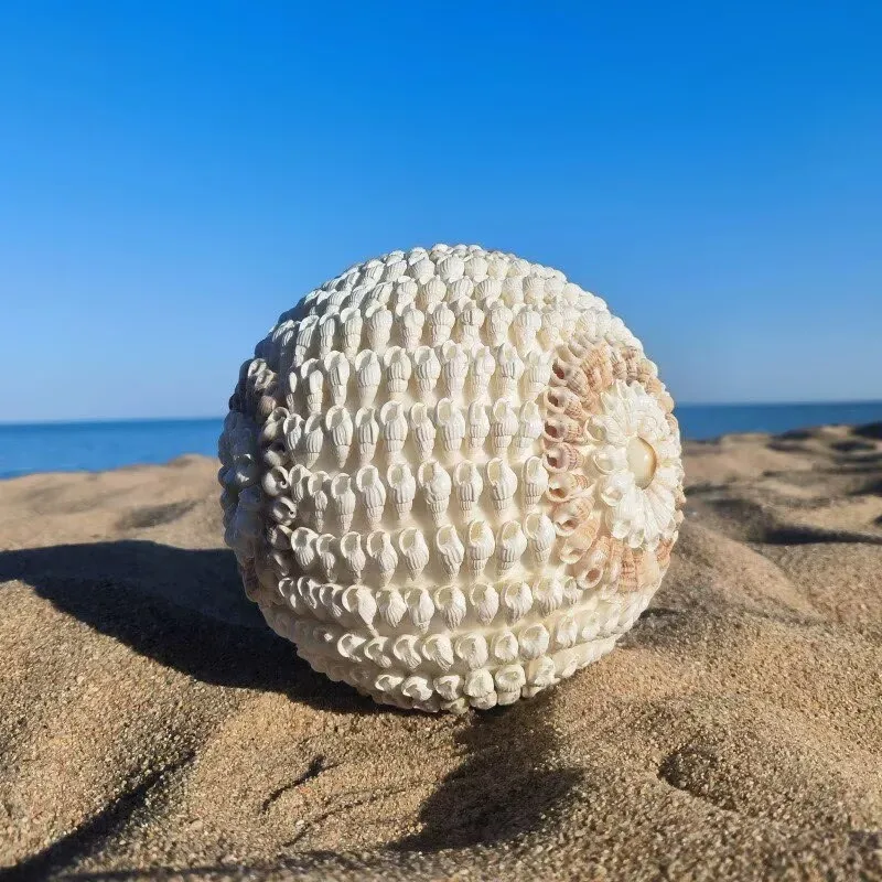 Times Come and Go Natural Conch Shells Handicrafts Creative Home Transfer Beads Decoration Surprise Gifts Home Decor Garden
Times Come and Go Natural Conch Shells Handicrafts Creative Home Transfer Beads Decoration Surprise Gifts Home Decor Garden
