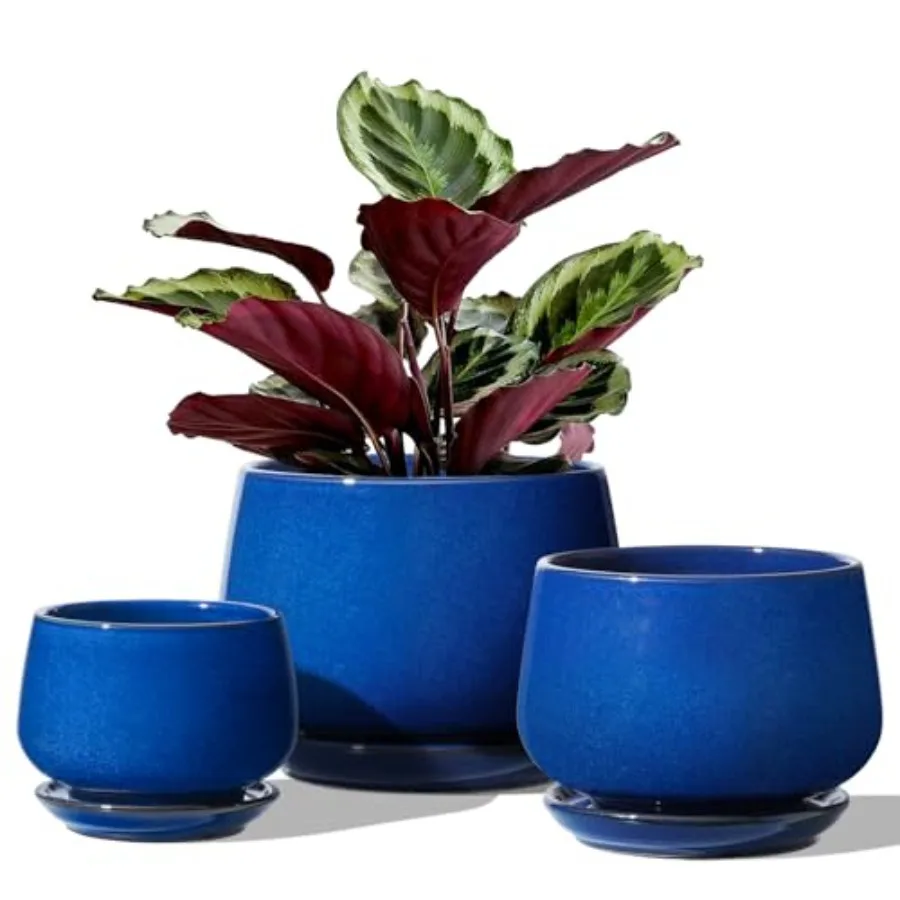 Plant Pots, 4.1+5.1+6.5 inch, Set of 3, Ceramic Planters with Drainage Hole and Saucer, Indoor Flower Pot with Hole Mesh Pad, G
Plant Pots, 4.1+5.1+6.5 inch, Set of 3, Ceramic Planters with Drainage Hole and Saucer, Indoor Flower Pot with Hole Mesh Pad, G