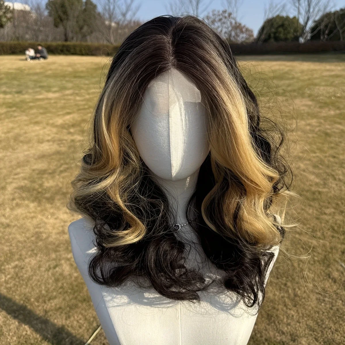Black & Blonde Highlights 4x1U Front Lace Synthetic Wig 150% Density Styling for Daily Wear, Parties & Vacations, Daily Wear
Black & Blonde Highlights 4x1U Front Lace Synthetic Wig 150% Density Styling for Daily Wear, Parties & Vacations, Daily Wear