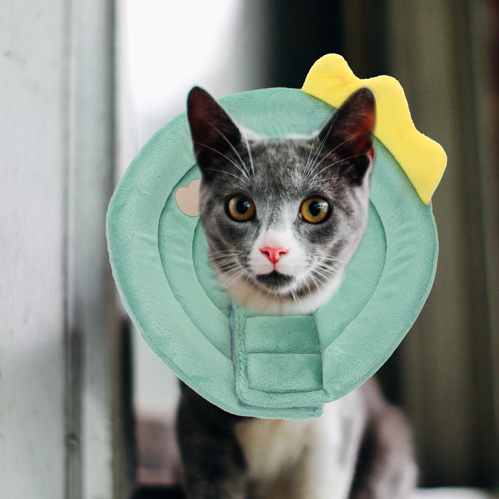 Adjustable Cat Recovery Collar Soft Cloth Cone Blue S for Cats After Surgery Prevent Licking Scratching Small Dogs Pet Supplies
Adjustable Cat Recovery Collar Soft Cloth Cone Blue S for Cats After Surgery Prevent Licking Scratching Small Dogs Pet Supplies