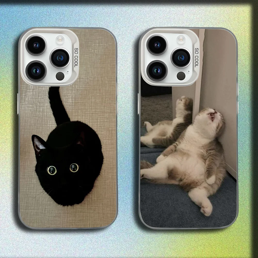 Cute Funny Cat Memes Phone Case For iPhone 16,15,14,13,12,11,Mini,Pro,SE,MAX White Matte Shockproof Cover
Cute Funny Cat Memes Phone Case For iPhone 16,15,14,13,12,11,Mini,Pro,SE,MAX White Matte Shockproof Cover