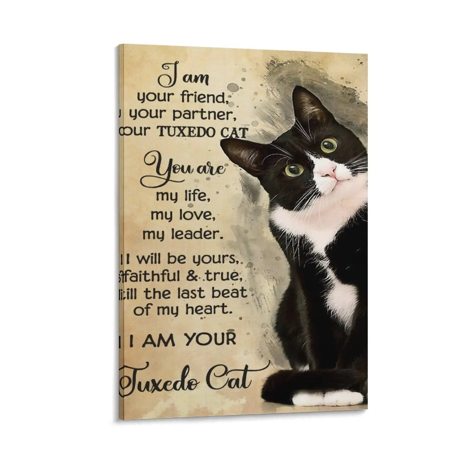 Cat Lover I Am Your Friend Your Partner Your Tuxedo Cat Canvas Painting korean room decor Decoration bedroom
Cat Lover I Am Your Friend Your Partner Your Tuxedo Cat Canvas Painting korean room decor Decoration bedroom