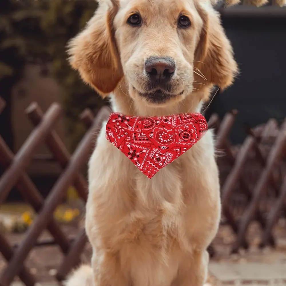 Trendy Reversible Dog Bandanas Fashionable Comfortable Pet Accessories with Dual-Sided Design Adjustable Collars Pet Puppy Cat
Trendy Reversible Dog Bandanas Fashionable Comfortable Pet Accessories with Dual-Sided Design Adjustable Collars Pet Puppy Cat