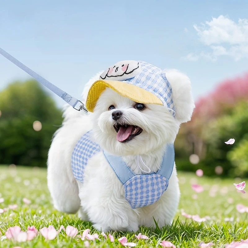 Pet Dog Cat Hat Spring/Summer Outing Sunshade Hat Cute Chest Strap Vest Dog Harness and Leash Set Puppy Accessories
Pet Dog Cat Hat Spring/Summer Outing Sunshade Hat Cute Chest Strap Vest Dog Harness and Leash Set Puppy Accessories