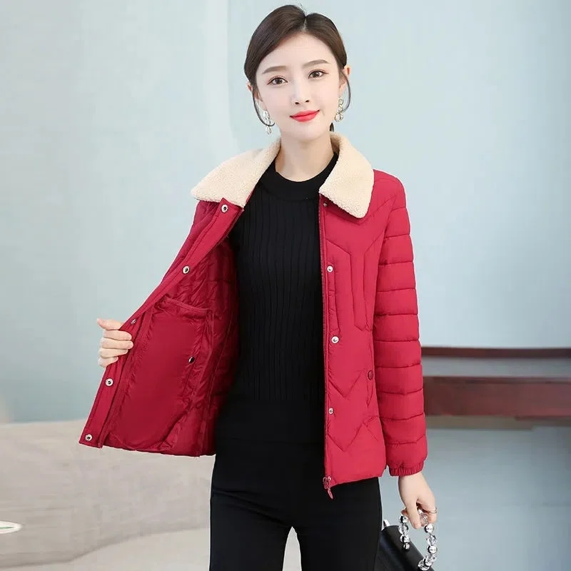 Short Women's Padded Jacket 2023 New Autumn Winter Slim Fit Versatile Female Zipper 5XL Down Cotton Coat
Short Women's Padded Jacket 2023 New Autumn Winter Slim Fit Versatile Female Zipper 5XL Down Cotton Coat