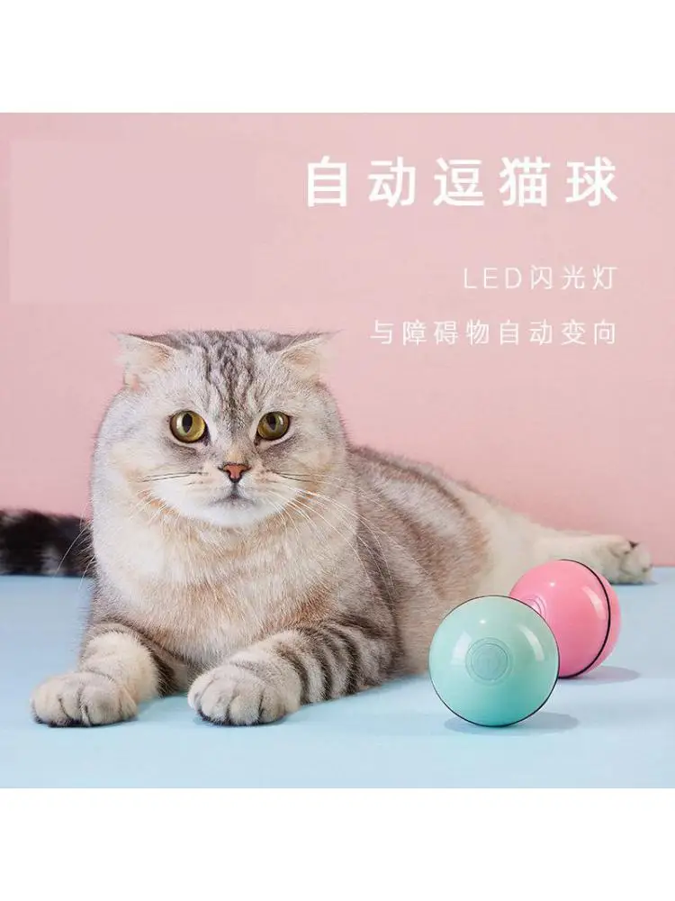 Cat Toy Ball Led Flash Ball Usb Charging Laser Light Automatic Direction Change
Cat Toy Ball Led Flash Ball Usb Charging Laser Light Automatic Direction Change