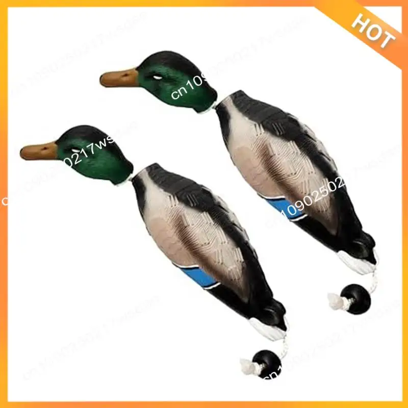 X08A 2 Pcs Pheasant Dummy Bumper Toy For Hunting Retriever Dog Training, Hunting Duck Recognition Trainers
X08A 2 Pcs Pheasant Dummy Bumper Toy For Hunting Retriever Dog Training, Hunting Duck Recognition Trainers