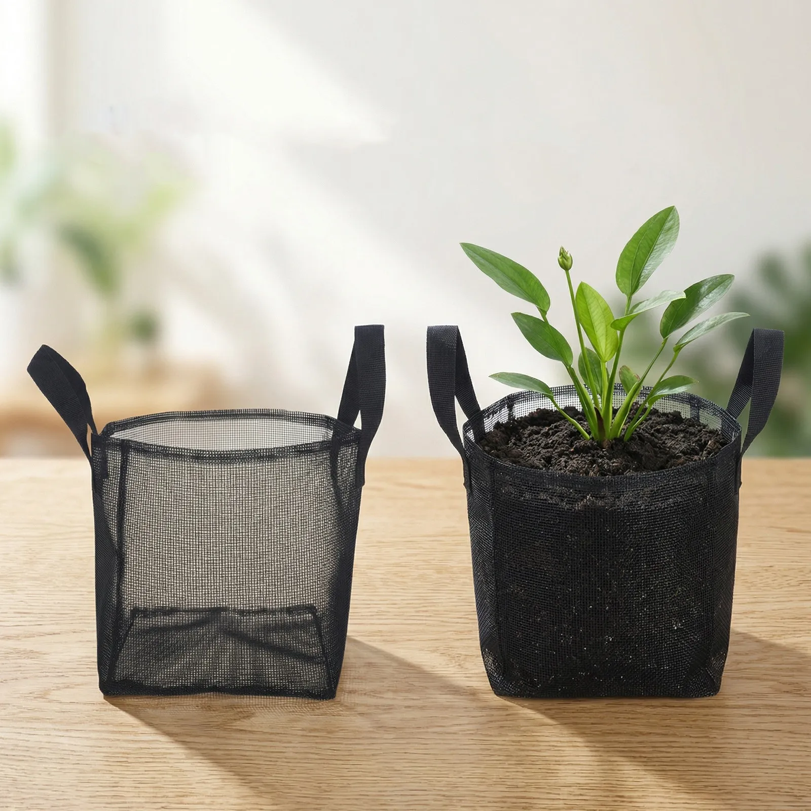 4Pcs Mesh Pond Plant Basket with Handles Aquatic Plant Planter for Water Lily Lotus Pond Flower Pot Garden Water Garden Planter
4Pcs Mesh Pond Plant Basket with Handles Aquatic Plant Planter for Water Lily Lotus Pond Flower Pot Garden Water Garden Planter