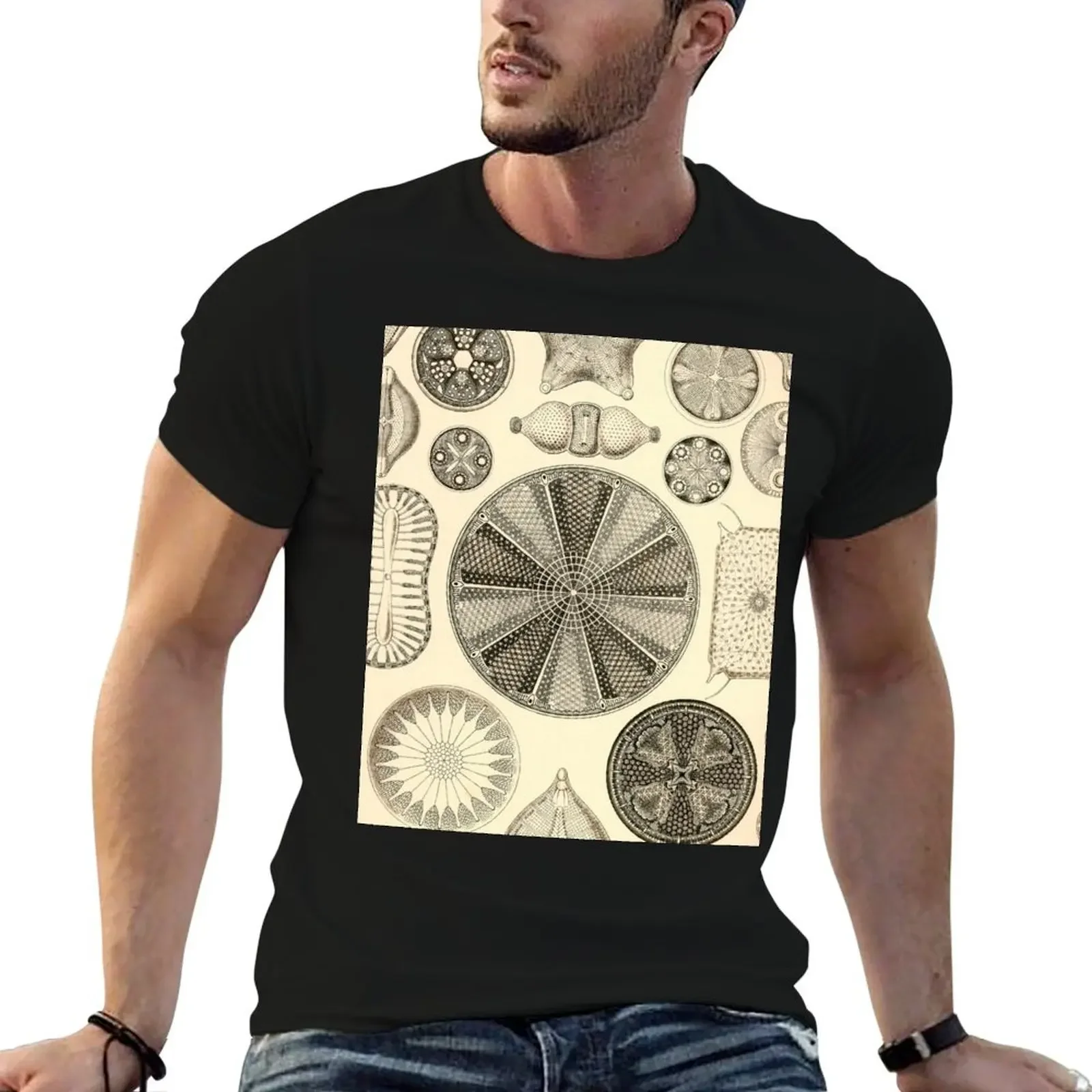 Diatomea - Ernst Haeckel T-Shirt cute tops Blouse graphic t shirts mens designer clothes
Diatomea - Ernst Haeckel T-Shirt cute tops Blouse graphic t shirts mens designer clothes