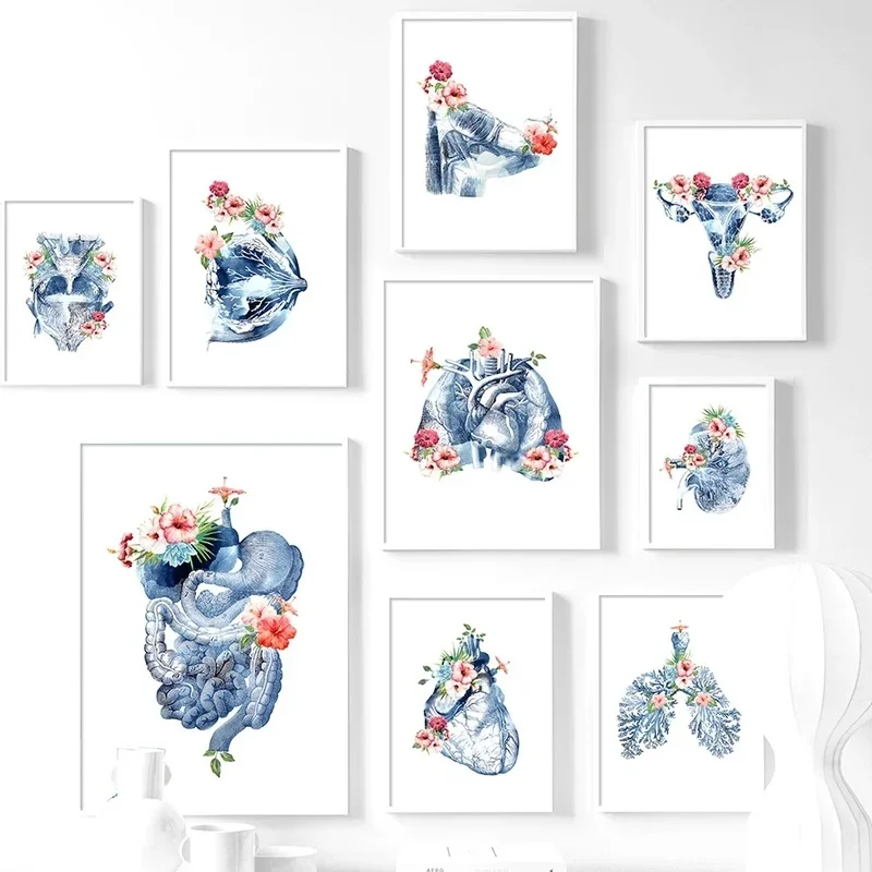 Nordic Blue Flower Human Organs Anatomy Breast Lung Canvas Paintings And Prints Wall Art Pictures For Doctors Room Decor
Nordic Blue Flower Human Organs Anatomy Breast Lung Canvas Paintings And Prints Wall Art Pictures For Doctors Room Decor