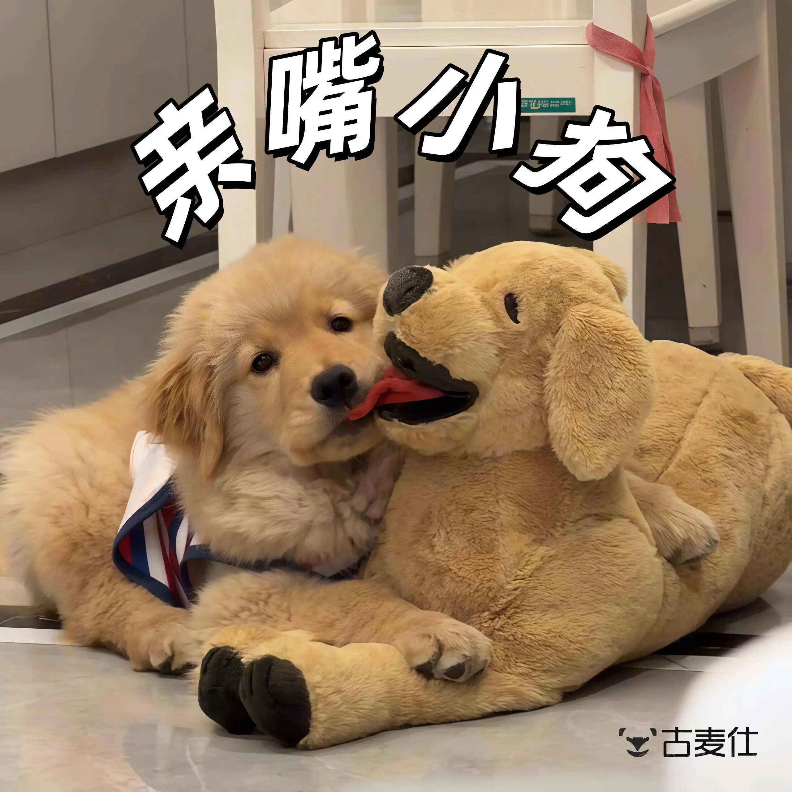 Adorable Large Plush Toy Golden Retriever Puppy Dog Mouth Kissing Simulation Stuffed Doll Soft Fabric Toys for All Ages
Adorable Large Plush Toy Golden Retriever Puppy Dog Mouth Kissing Simulation Stuffed Doll Soft Fabric Toys for All Ages