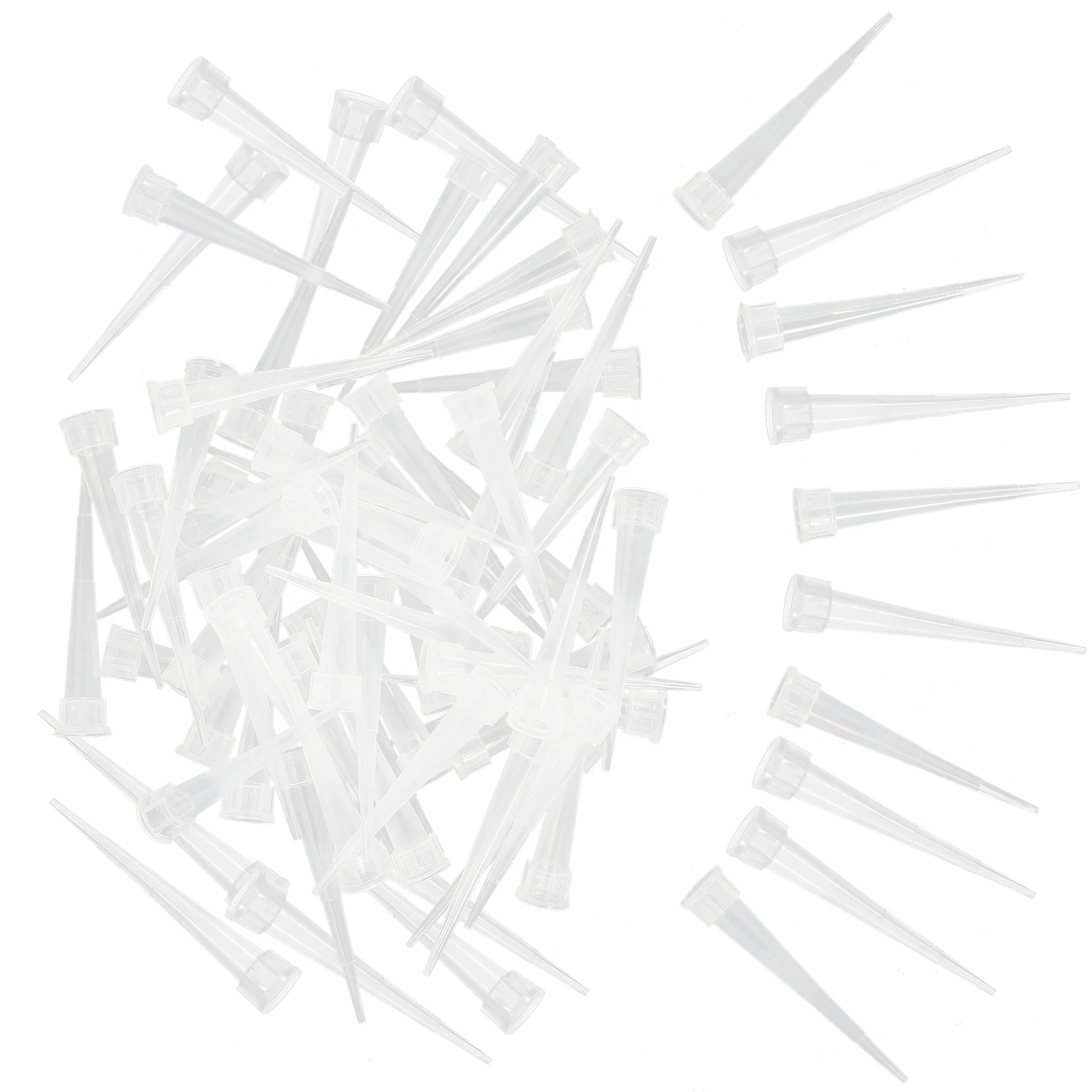 100 Pcs Flower Mud Holder Floral Water Vials Mini Tubes Clear Plant Stand DIY Arrangement Tools Reusable Plastic Material
100 Pcs Flower Mud Holder Floral Water Vials Mini Tubes Clear Plant Stand DIY Arrangement Tools Reusable Plastic Material