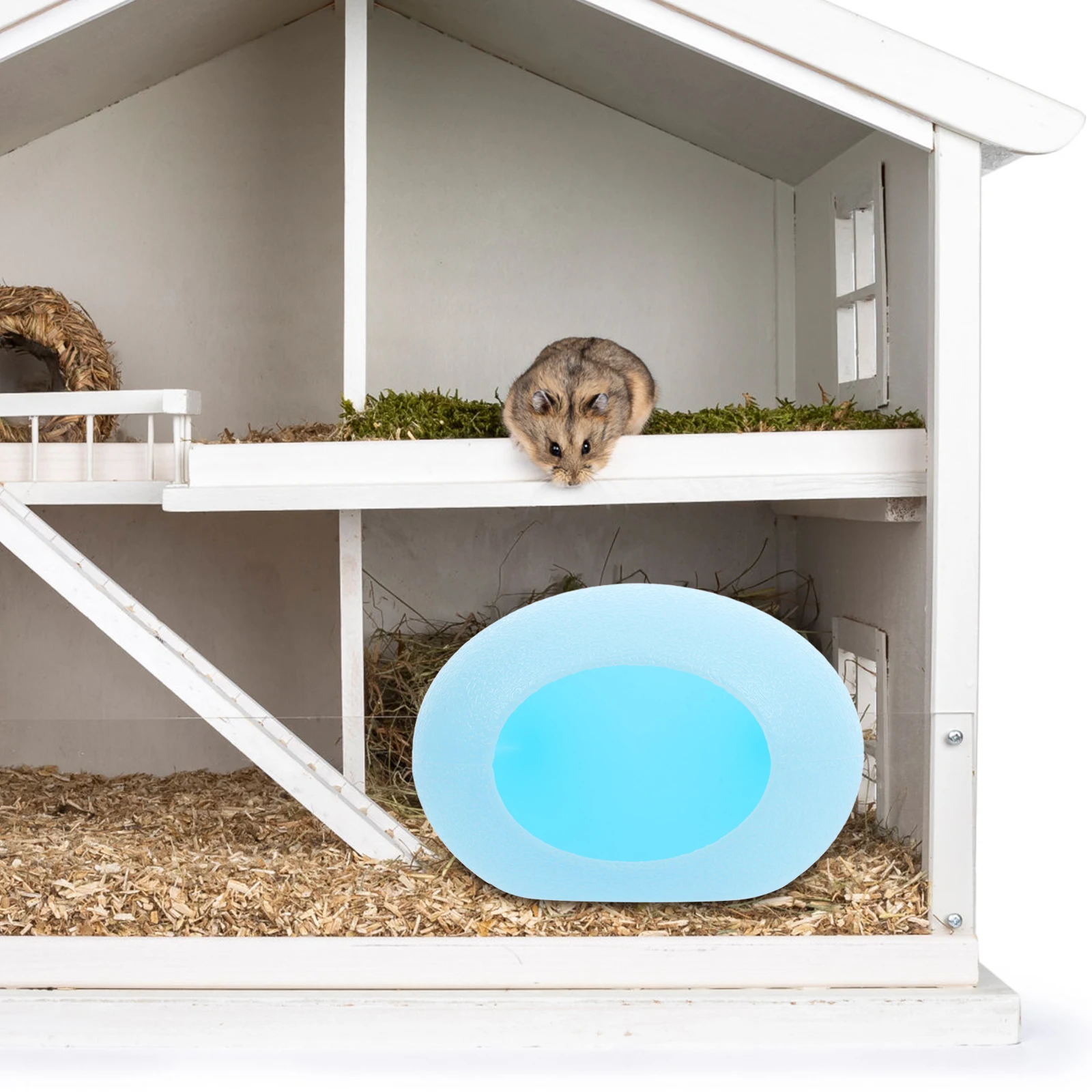 Cartoon AntiSleep Plastic Hamster Hide Pet Houses Small Animal Squirrel House Habitat Hamster Cave Guinea Pig Cave Bed
Cartoon AntiSleep Plastic Hamster Hide Pet Houses Small Animal Squirrel House Habitat Hamster Cave Guinea Pig Cave Bed