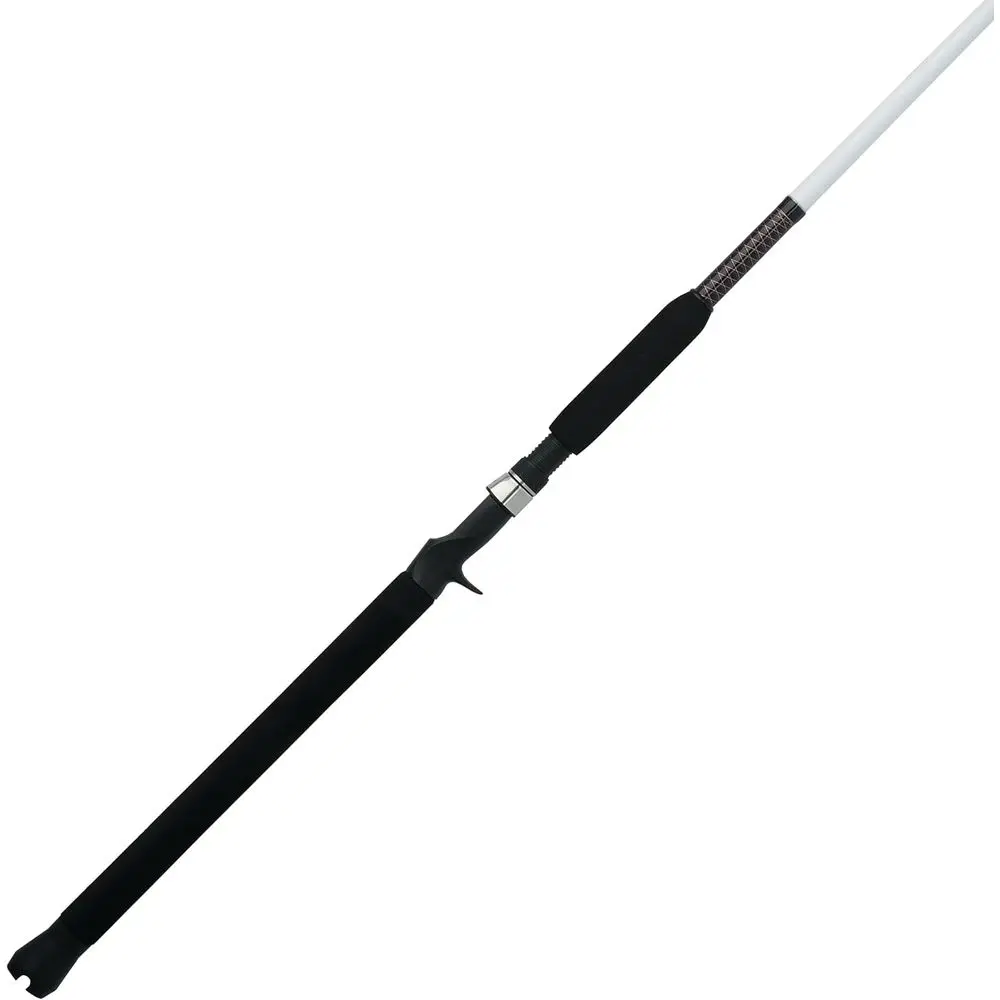 Special Spinning Fishing Rod
Special Spinning Fishing Rod
