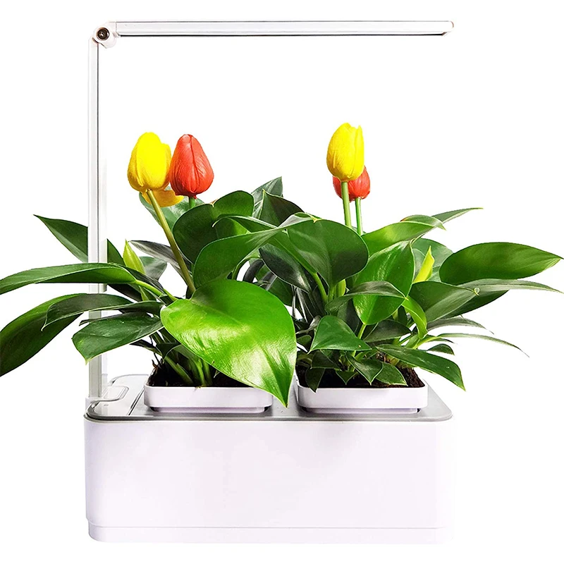 Indoor Greenhouse Desktop Smart Hydroponics Growing System With LED Lights For Vegetables Flower Herbs Plant at Home Office
Indoor Greenhouse Desktop Smart Hydroponics Growing System With LED Lights For Vegetables Flower Herbs Plant at Home Office