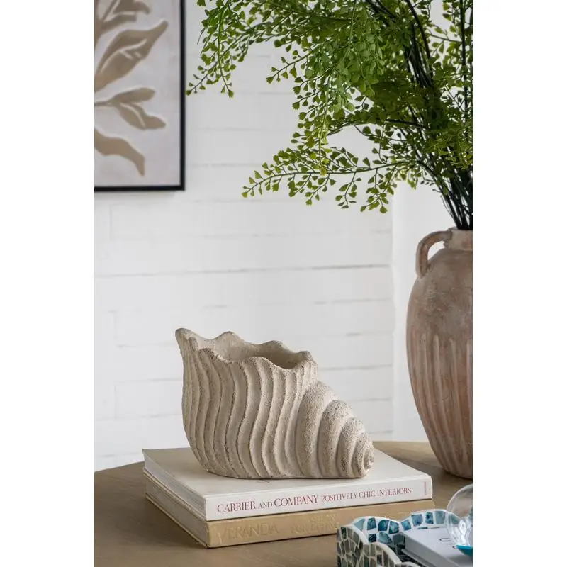 11.5" x 7" x 7" Sand & Cement Nautilus Shell Planter with Textured Beige Finish, Ideal for Indoor & Outdoor Gardening, Stylish
11.5" x 7" x 7" Sand & Cement Nautilus Shell Planter with Textured Beige Finish, Ideal for Indoor & Outdoor Gardening, Stylish