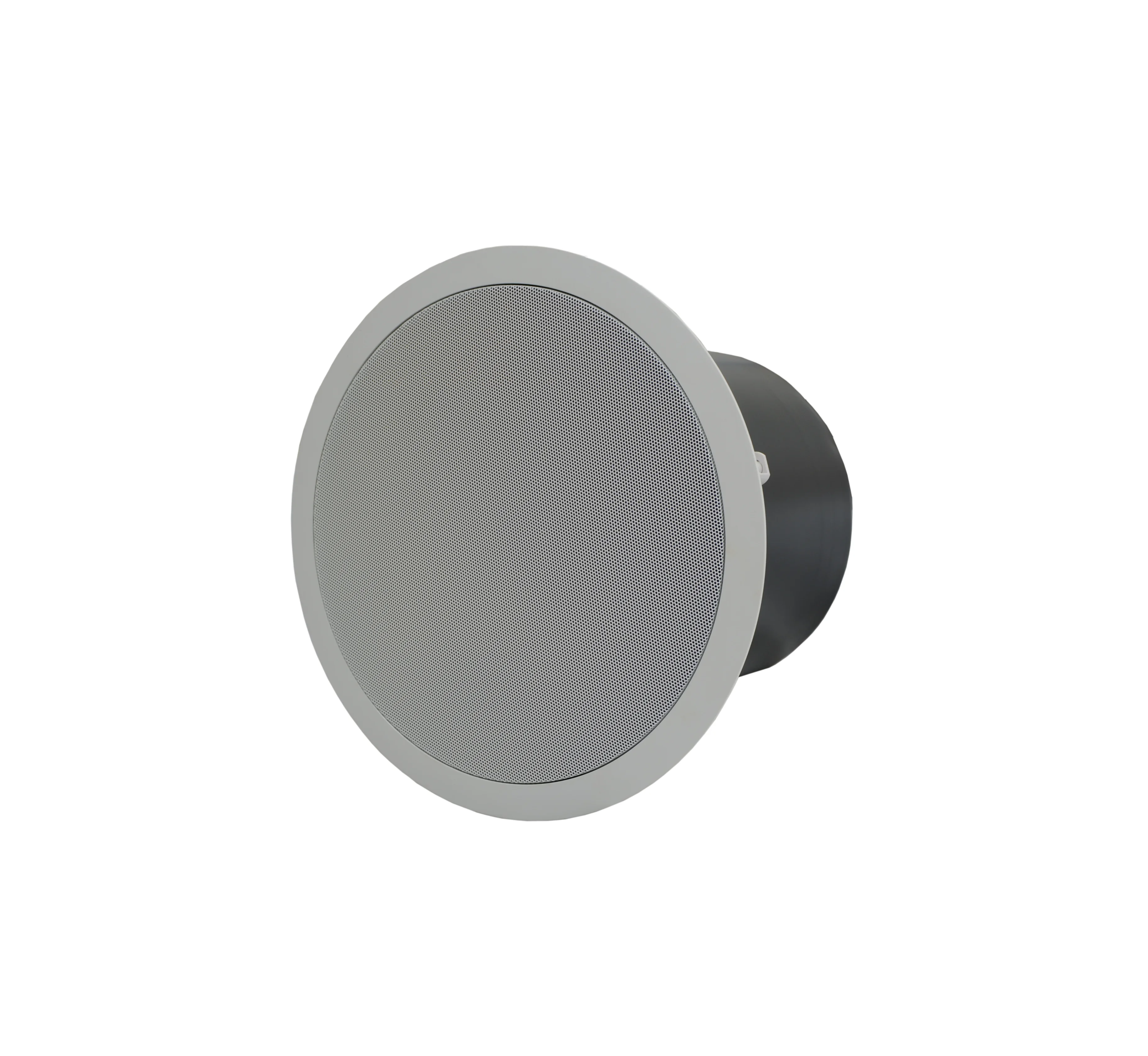200W 100W Indoor Sonos Speaker 313mm Metal Passive Ceiling Subwoofer with Surround Sound Speaker
200W 100W Indoor Sonos Speaker 313mm Metal Passive Ceiling Subwoofer with Surround Sound Speaker