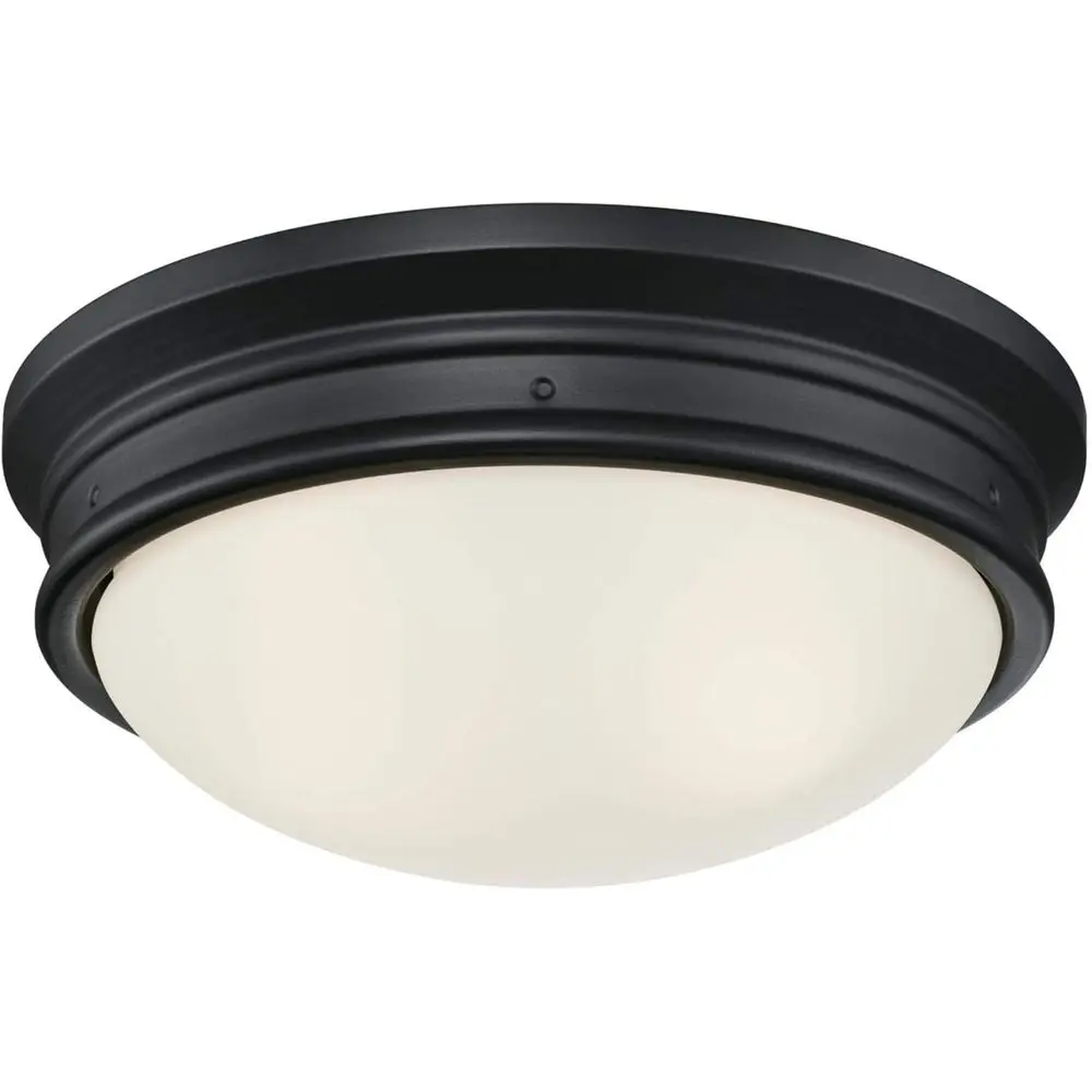 6578100 Уличный потолочный светильник Meadowbrook 13 дюймов, традиционный, с двумя плафонами, матовый черный, с матовым стеклом
6578100 Уличный потолочный светильник Meadowbrook 13 дюймов, традиционный, с двумя плафонами, матовый черный, с матовым стеклом
